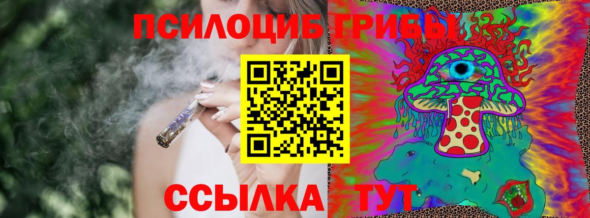 Псилоцибиновые грибы мухоморы Норильск