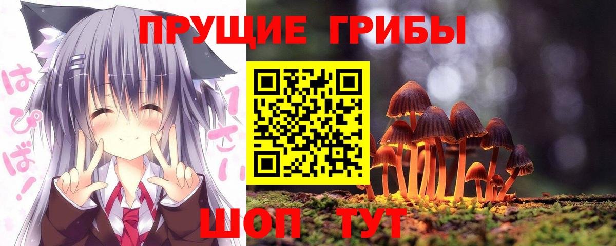 даркнет сайт  Псилоцибиновые грибы Psilocybe  Вход с VPN  Норильск 